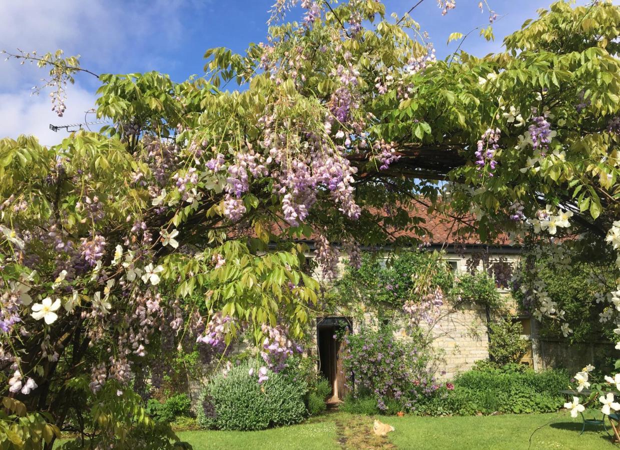 Hurcot Peaceful Stone Barn Conversion In Somersetヴィラ エクステリア 写真