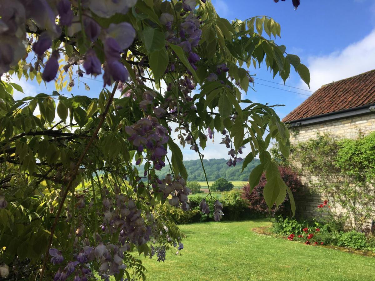 Hurcot Peaceful Stone Barn Conversion In Somersetヴィラ エクステリア 写真
